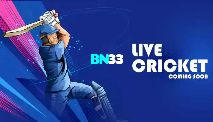 available types of BN33 bet including pre-match live express and system bets